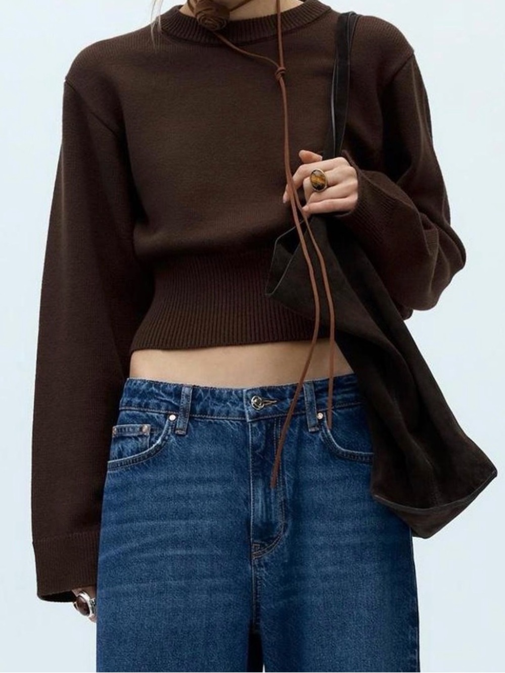 Zara Cropped Crewneck Sweater in Dark Brown